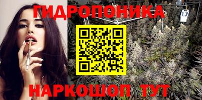 spice Кимры