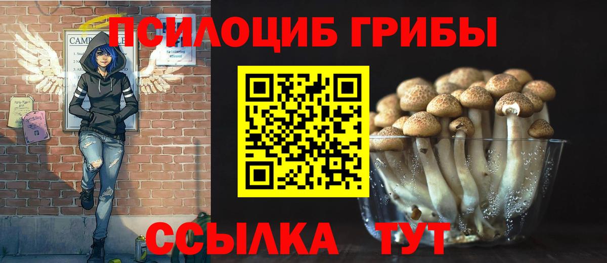 Котельники  купить наркоту  Вход с VPN  Псилоцибиновые грибы Psilocybe 